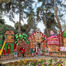 εικόνα_Viber_2025-12-09_12-50-02-131